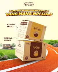 Kardus S Tugu Jogja